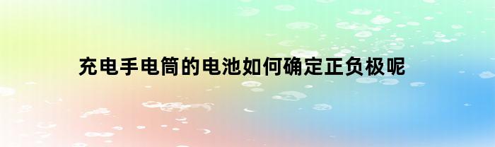 充电手电筒的电池如何确定正负极呢(手电筒电池充电器怎么用)