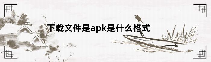 下载文件是apk是什么格式(下载的文件是apk文件)