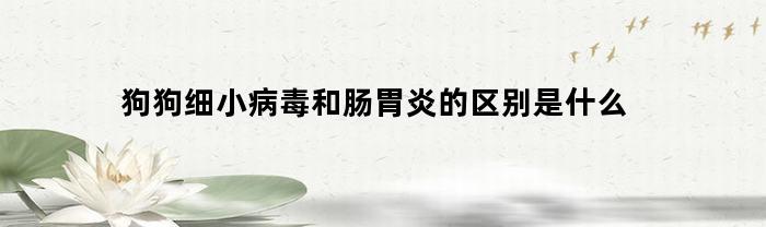 狗狗细小病毒和肠胃炎的区别是什么(狗狗细小病毒和肠胃炎的区别是什么呢)