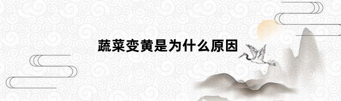 蔬菜变黄是为什么原因(蔬菜变黄了能把它变绿吗)