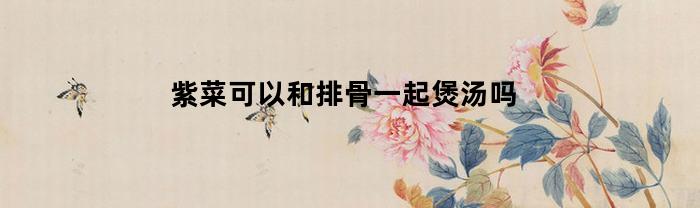 紫菜可以和排骨一起煲汤吗(紫菜排骨汤的功效与作用)