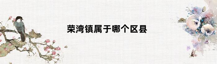 荣湾镇属于哪个区县(荣湾镇有什么好玩的?)