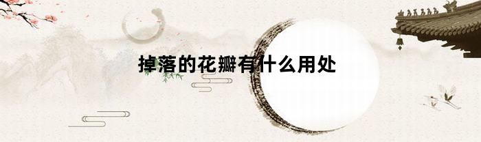 掉落的花瓣有什么用处(掉落的花瓣有什么用处吗)