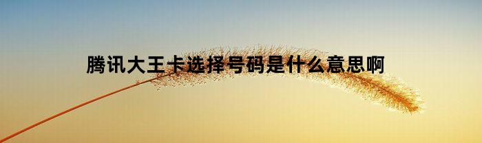 腾讯大王卡选择号码是什么意思啊(彩票怎么选择号码)