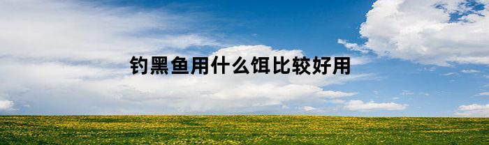 钓黑鱼用什么饵比较好用(钓黑鱼用什么饵比较好用呢)