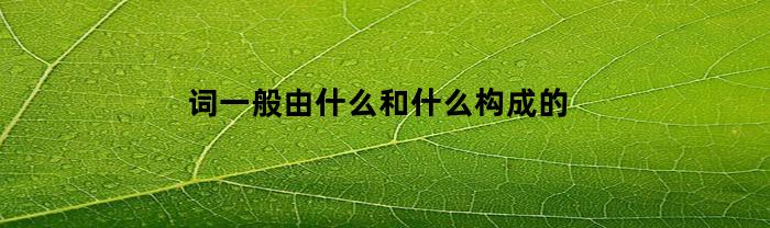词一般由什么和什么构成的(词是构成什么和什么的要素)