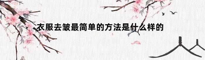 衣服去皱最简单的方法是什么样的(衣服怎么去皱痕)