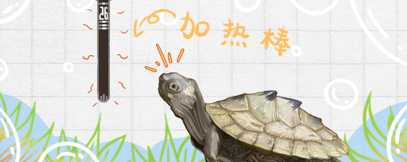 地图龟好养吗需要多少温度(地图龟好养活吗?)