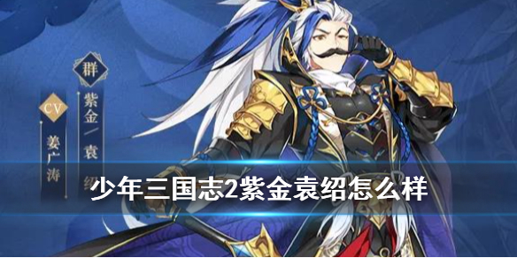 少年三国志2紫金二袁绍和姜维谁厉害些