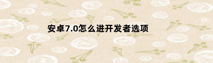 安卓7.0怎么进开发者选项(安卓7.1开发者选项设置)