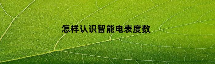 怎样认识智能电表度数(如何读智能电表度数)