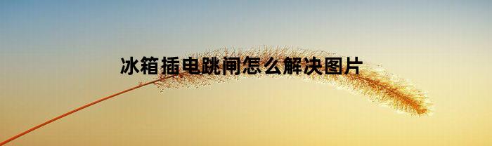 冰箱插电跳闸怎么解决图片(冰箱插电跳闸怎么解决图片教程)