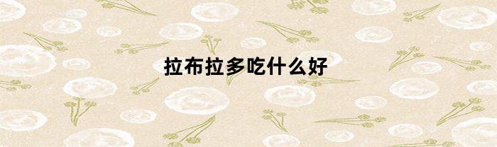 拉布拉多吃什么好(拉布拉多吃什么比较好)