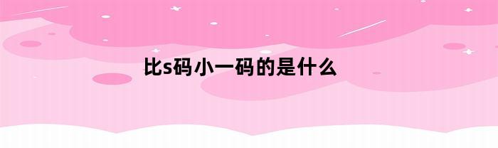 比s码小一码的是什么(比s码小的码是什么码)