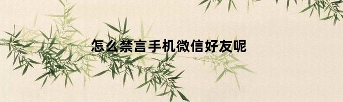怎么禁言手机微信好友呢(微信怎么可以禁言好友)