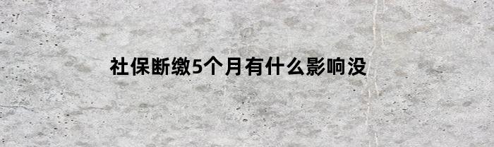 社保断缴5个月有什么影响没(社保断缴5个月有啥影响吗)