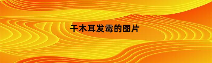 干木耳发霉的图片(干木耳发霉图片什么样子)