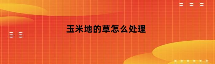 玉米地的草怎么处理(玉米地草太多太大用什么除草剂)