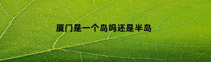 厦门是一个岛吗还是半岛(厦门市是在一个岛上吗?)