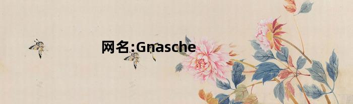 网名:Gnasche(网名昵称大全)
