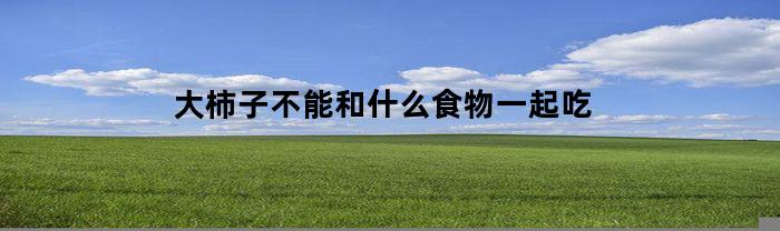 大柿子不能和什么食物一起吃(吃柿子禁忌哪些食物)