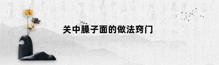 关中臊子面的做法窍门(关中臊子面的由来)