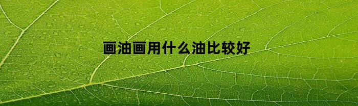 画油画用什么油比较好(油画要用什么)