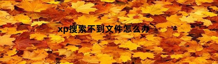 xp搜索不到文件怎么办(xp系统搜索文件没反应)