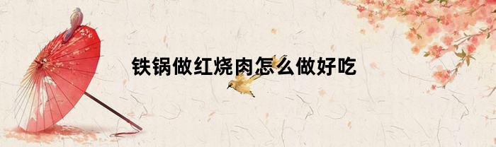 铁锅做红烧肉怎么做好吃(铁锅炖红烧肉的做法大全)