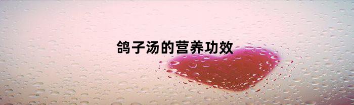 鸽子汤的营养功效(鸽子汤的营养功效及禁忌)