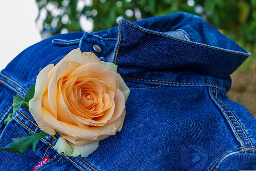 牛仔夹克和牛仔外套有什么区别(牛仔夹克和牛仔裤)