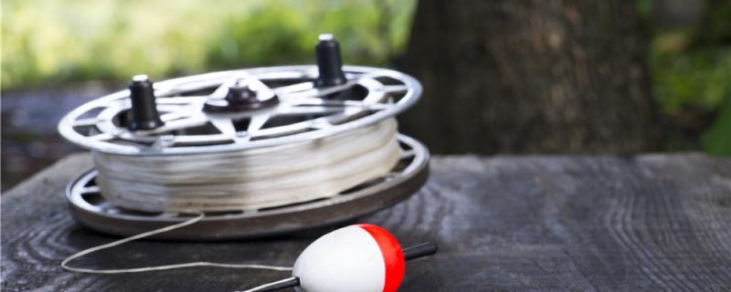 大力马做子线好吗几编的好(大力马做子线好吗?)