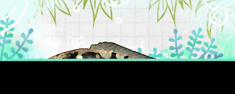 胭脂短鲷好养吗怎么养(对口升学是不是职高)