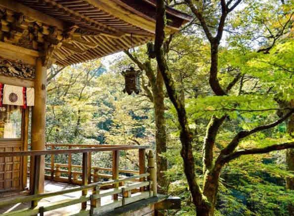 沈阳十大拍照圣地(沈阳十大拍照圣地有哪些)