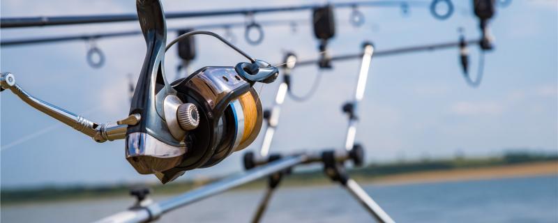 野钓用19调还是28调鱼竿合适19调鱼竿可以吗(野钓用19调和28调哪个好)