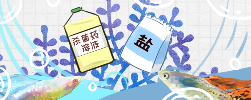 孔雀鱼有白点病怎么治疗常见病的治疗方法(孔雀鱼白点病症状)
