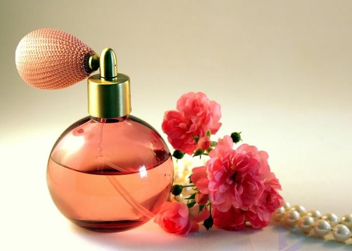 买法国香水什么牌子好(法国香水哪款味道好闻)