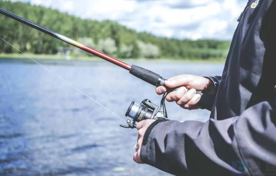 买台钓竿什么牌子好(台钓竿什么牌子好用)