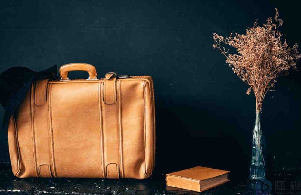 买世界皮具什么牌子好(世界品牌皮具图片大全)