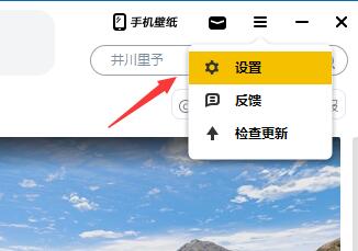 元气壁纸会员过期壁纸是否还在详情