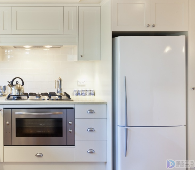 冰箱插电跳闸怎么解决(冰箱插电跳闸怎么解决视频)