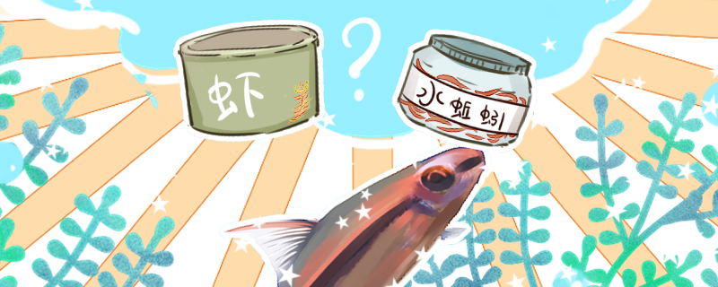 一眉道人吃什么发色好怎么养才发色(一眉道人吃什么容易发色)