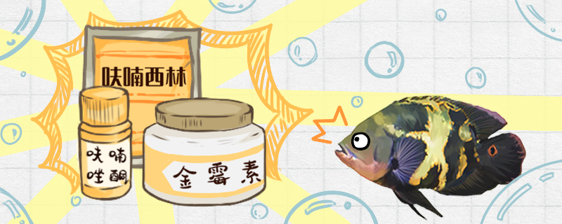 地图鱼爱得病吗常见病及治疗方法(地图鱼得病是什么样子)