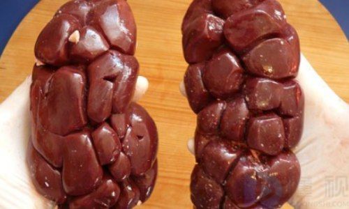 人工肾模拟细胞膜的什么功能(人工肾建模)