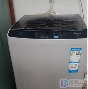 洗衣机洗衣步骤(洗衣机洗衣步骤会转吗)