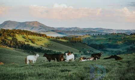蒙古国和内蒙古有啥区别(蒙古国和内蒙古有什么关系吗)