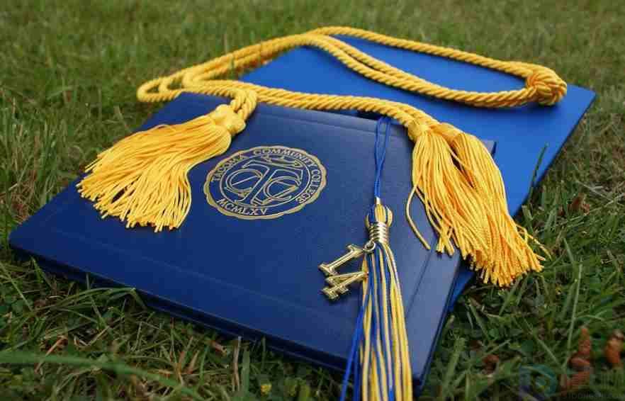 华为HCSP-preHCSP-presales是什么证书(华为hcsp-prehcsp-presales是什么证书啊)