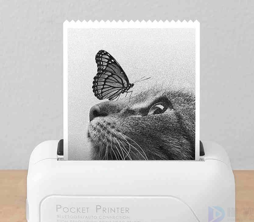 口袋打印机品牌大全(口袋打印机是干什么用的)