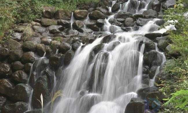 林中安静极了(森林里很安静把句子写具体)