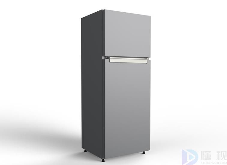 双门冰箱哪种好